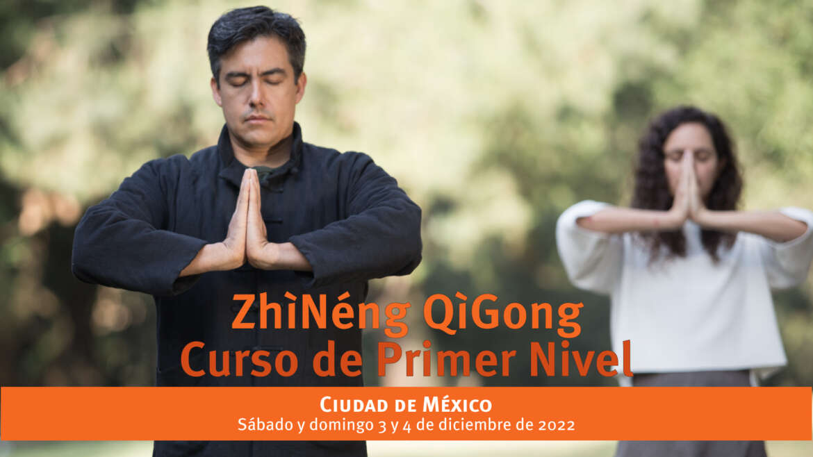 Curso Primer Nivel CDMX Vida ZhìNéng QìGōng