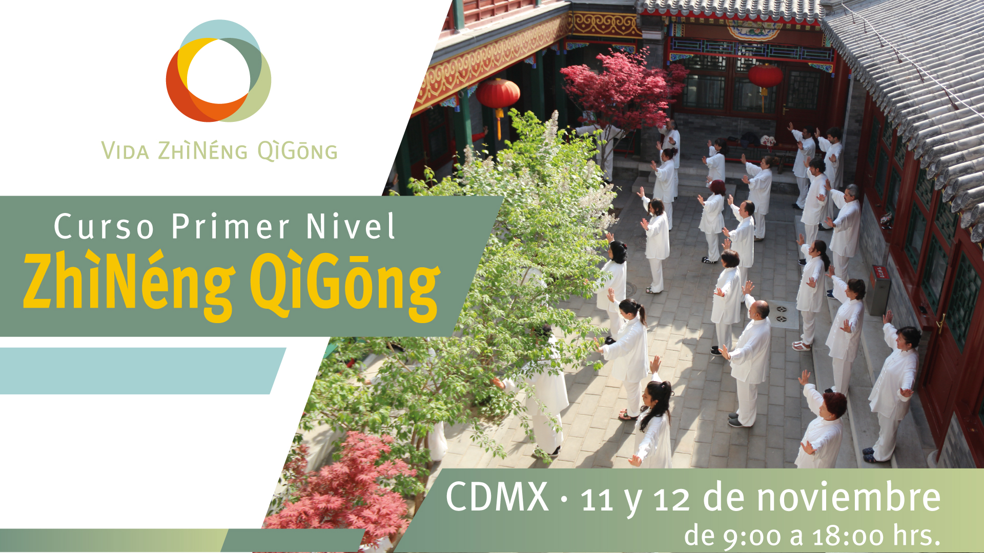 Curso Primer Nivel CDMX Vida ZhìNéng QìGōng